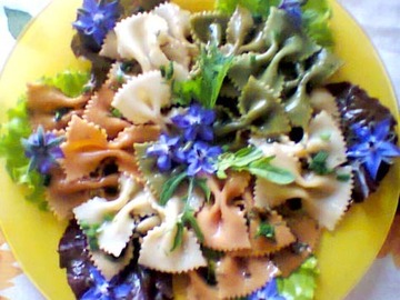 Makaronų salotos „Vasaros spalvos“