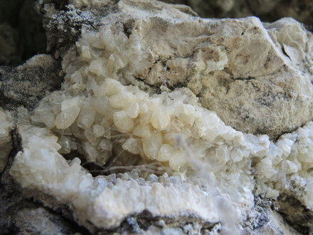 Kalcito kristalų  drūza Tabokinės atodangoje 