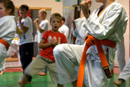 Tradicinis karate – savigynos menas, sveikata ir pranašumas
