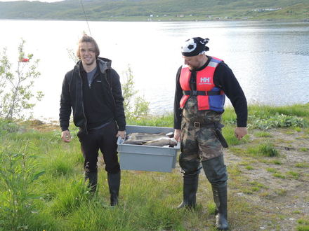 Leistinas išvežti žuvų kiekis Norvegijoje