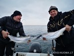 Lašišų žvejyba Baltijos jūroje