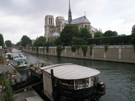 Notre Dame katedra nuo Senos