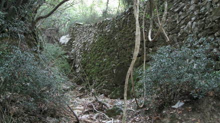 Apsauginė upelio siena Baošiči bruzgynuose