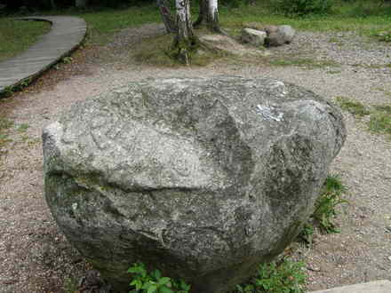 Dūkšto ąžuolynas, akmuo su užrašais