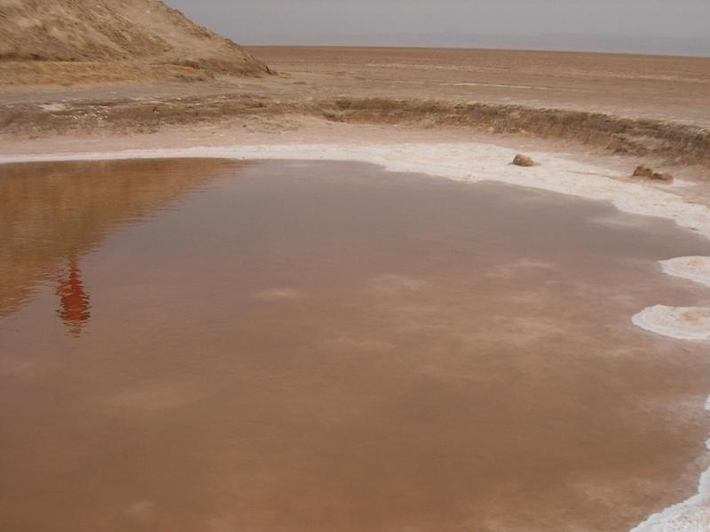 Chott El Jerid druskos ežeras.