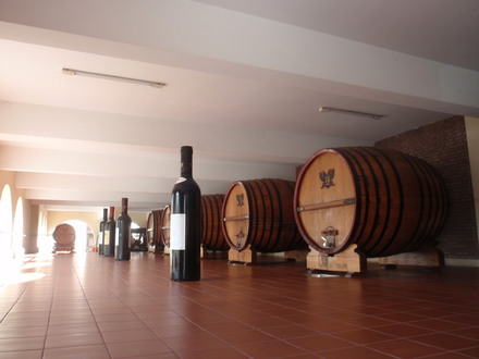 Mendoza vyno rūsiai