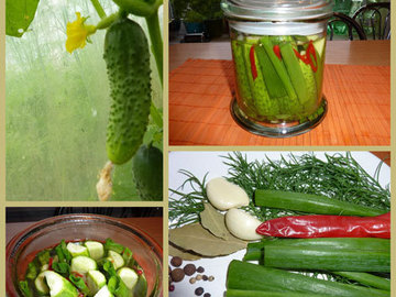 Konservuoti agurkai receptas